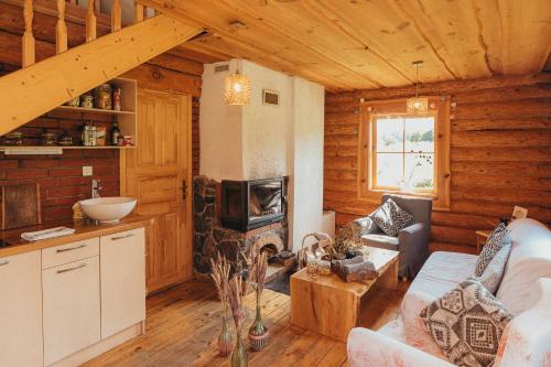MālpilsJaunlidumnieki的小木屋内带壁炉的客厅