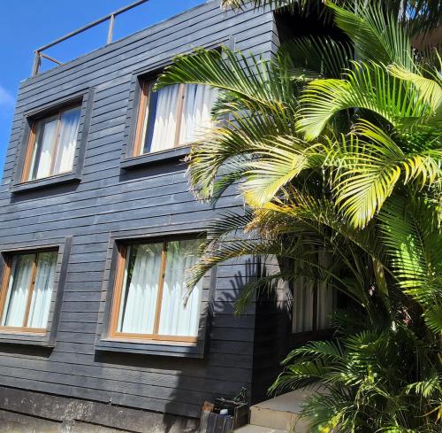 安加罗阿Apart Hotel Rapa Nui的一间黑色房子,带窗户和棕榈树
