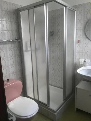 洛迦诺Locarno: camera indipendente in zona residenziale的带淋浴、卫生间和盥洗盆的浴室