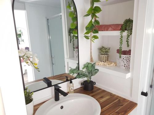 TamahereRustling Oaks NZ Tropical Tiny House的浴室设有水槽、镜子和植物