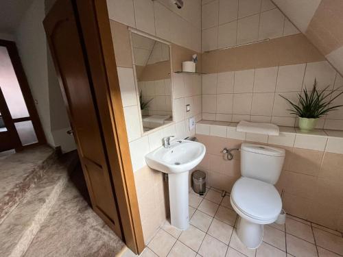 特伦钦Maria Penzion & Restaurant的一间带卫生间和水槽的浴室