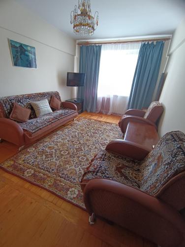 阿拉木图Квартира на Абая的带沙发和地毯的客厅