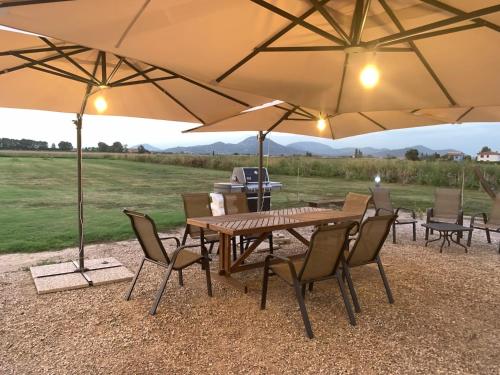 Villa EstenseCa' Vascon Alloggio Agrituristico的田野上带遮阳伞的桌椅
