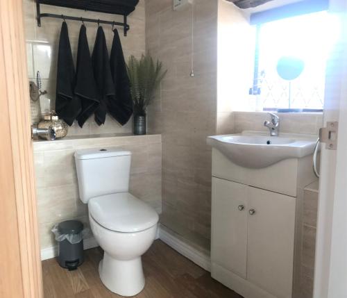 韦克菲尔德Daisy Cottage的浴室配有白色卫生间和盥洗盆。