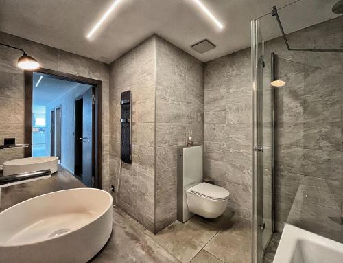 强尼Appartement 180 degrés de rêve à Jongny的浴室配有卫生间、盥洗盆和淋浴。