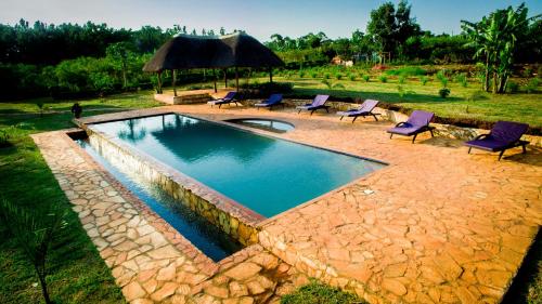 金贾Buyala Bliss on the Nile的一个带紫色椅子和遮阳伞的游泳池