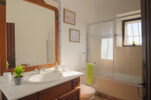 埃武拉Monte Ribeira de Mures的一间带水槽、卫生间和镜子的浴室