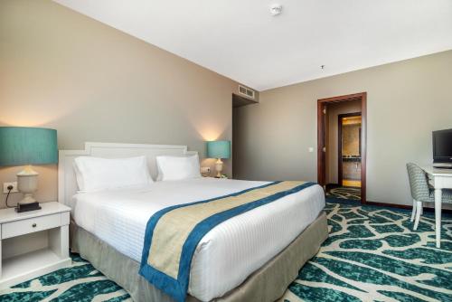 加亚新城波尔图盖亚假日酒店的酒店客房设有一张大床和一台电视。