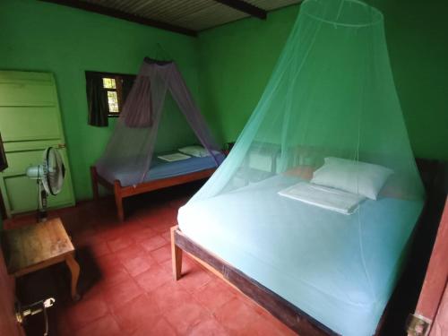 BalgueHostal Así es mi Tierra的一间卧室配有一张带蚊帐的床