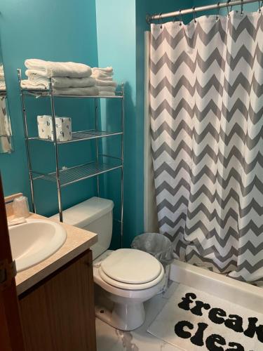 马布尔黑德Lake Point Motel的一间带卫生间和淋浴帘的浴室