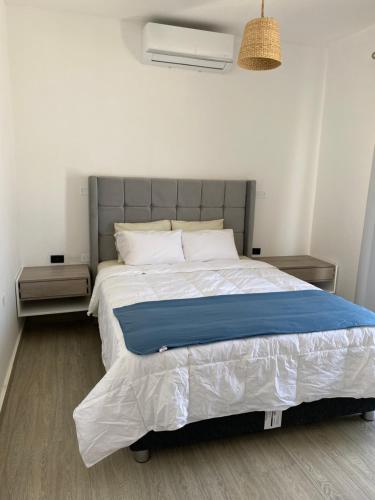 维加伊托Riviera Vichayito的一间卧室配有一张带蓝色毯子的大床