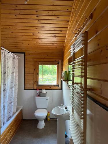 戈尔韦Red Squirrel Lodge的一间带卫生间和水槽的浴室