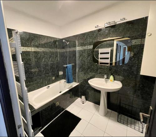卡斯特尔Très grand appartement à 10 min à pied du centre的浴室配有盥洗盆、浴缸和镜子
