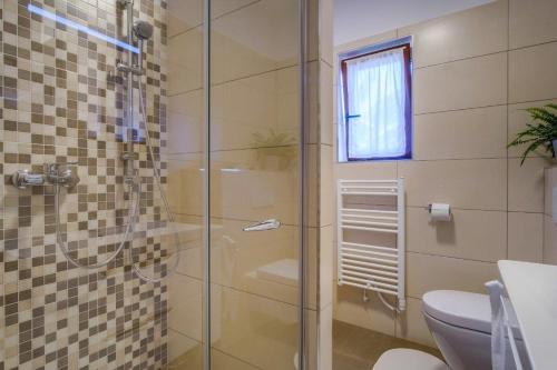 木洛希尼Apartments by the sea Mali Losinj (Losinj) - 15576的一间带玻璃淋浴和卫生间的浴室