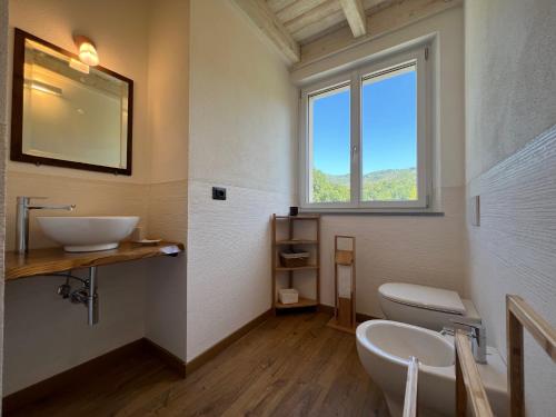 Castiglione ChiavareseAgriturismo Torsivì的一间带水槽和卫生间的浴室以及窗户。