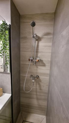 奥西耶克RetFala Inn的浴室内配有淋浴和头顶淋浴