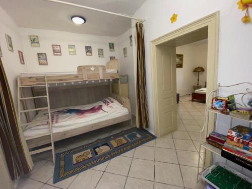 SarudÁrpád nyaralóház的一间卧室配有两张双层床。