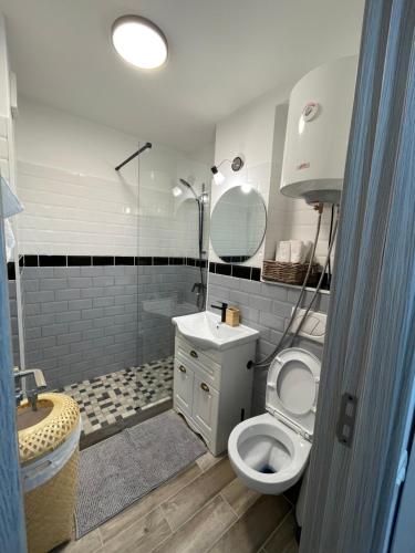 普洛耶什蒂Robert’s Apartament 2的浴室配有卫生间、盥洗盆和淋浴。
