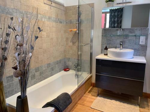 若西耶Magnifique appartement 8 couchages dans villa historique的带淋浴、盥洗盆和浴缸的浴室