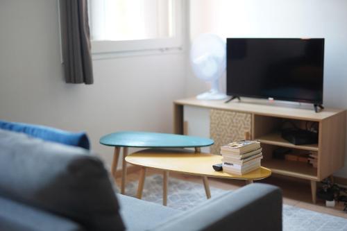 特鲁瓦Petit appartement cosy à Troyes的带沙发和电视的客厅