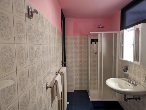 松德里奥B&B VILLA DIEGO的浴室设有粉红色的墙壁、水槽和淋浴。