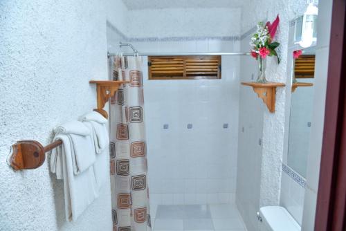 尼格瑞尔2号灯塔酒店的带淋浴和卫生间的白色浴室