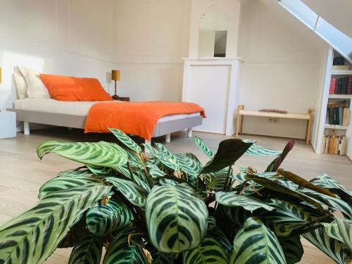根特Maison d'Artiste的一间卧室,配有床和绿色植物