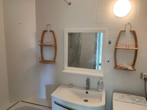 索尔特奥瑟戈尔Le Green-Center, 2 pièces en Hyper Centre的一间带水槽和镜子的浴室