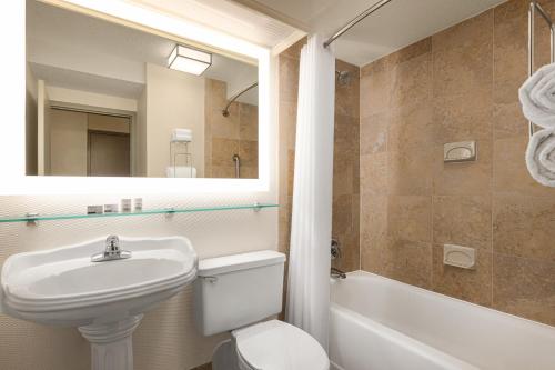 萨默维尔Holiday Inn Boston Bunker Hill Area, an IHG Hotel的一间带水槽、卫生间和镜子的浴室
