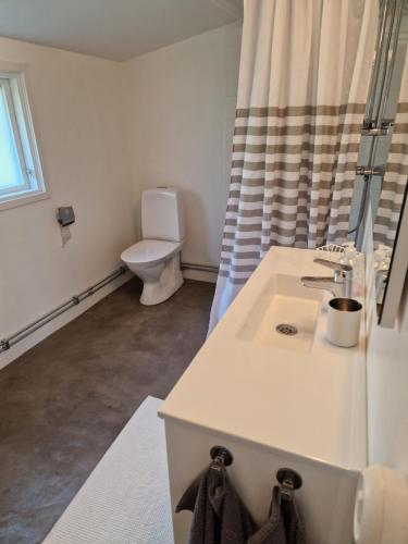 托弗塔Liten stuga med fantastiskt läge的白色的浴室设有卫生间和水槽。