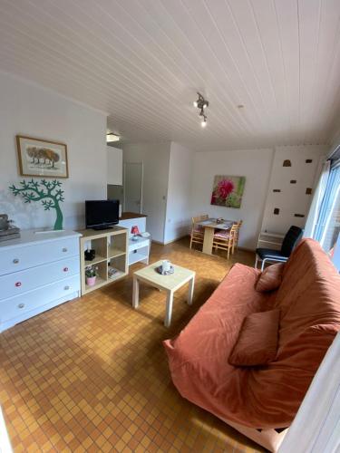 Hastière-par-delàChelonia Mydas的客厅配有沙发和桌子