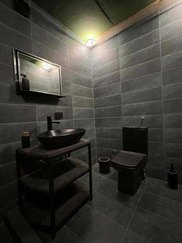 卡兹贝吉Gzaze的一间带水槽和卫生间的浴室