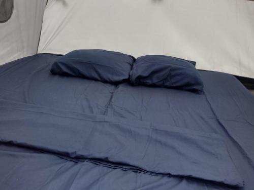 埃尔扎伊诺Camping Tequendama Playa Arrecifes Parque Tayrona的帐篷内的一张带两个蓝色枕头的床