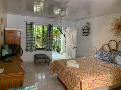 苏莎亚Villa Mar Sosua的一间卧室配有一张床和一台电视