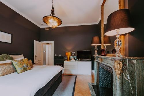 Montignies-le-TilleulVilla Geva的一间卧室配有一张床和一个壁炉