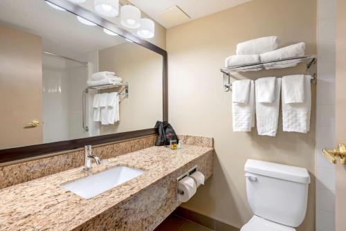 雷德迪尔红鹿贝斯特韦斯特PLUS酒店的一间带水槽、卫生间和镜子的浴室