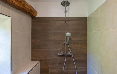 弗尔赫尼卡4 Bedroom Amazing Home In Vrhnika的带淋浴的浴室(带木墙)