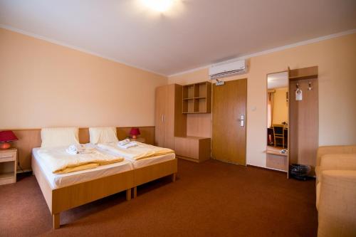 卢切内茨Hotel Clavis的一间酒店客房,客房内配有一张床