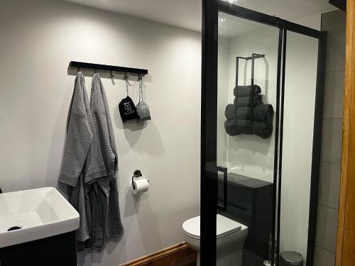 灵伍德Lynbrook Haybarn, Hot tub and outdoor kitchen, New Forest的浴室配有白色卫生间和盥洗盆。