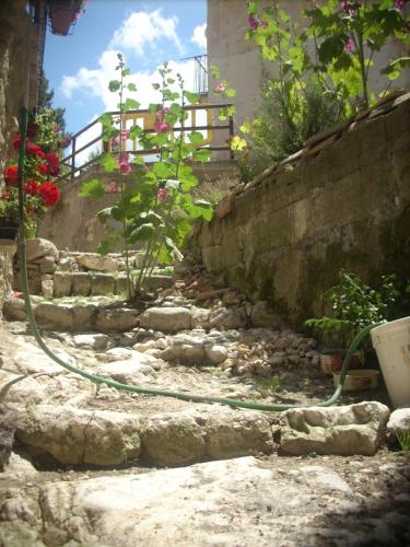 CansanoIL PIACERE DELLA NATURA的一座花园,花园内有软管,连在石墙上