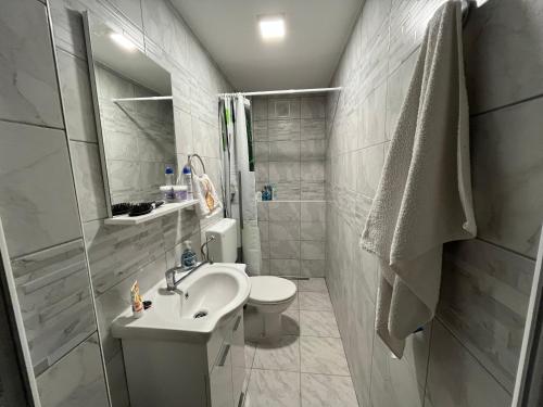 AljmašOdmor za dušu i tijelo u srcu prirode的白色的浴室设有水槽和卫生间。