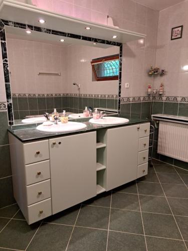 埃尔德Villa Csilla elegant house的一间带两个盥洗盆和大镜子的浴室
