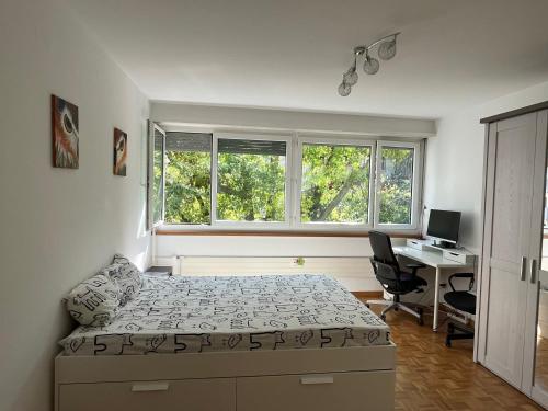 巴塞尔Feel at home - central & cosy的一间卧室配有一张床、一张书桌和两个窗户。