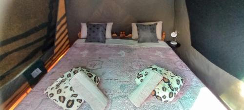 巴里代尔Protea Lodge - Glamping in the Karoo的小房间,配有两张床和床上的毛巾