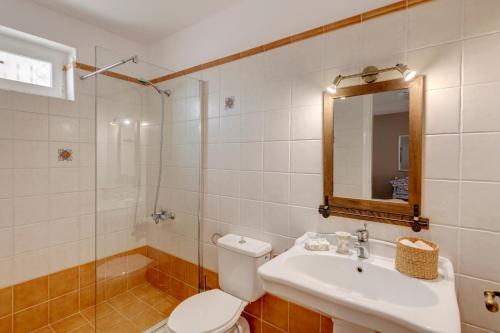 菲尼卡斯Cycladic Aura - Traditional Holiday Cottage的一间带卫生间、水槽和镜子的浴室