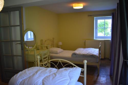 TrézanLe Moulin,19 bis rue de Beaudon, 45330 Augerville la riviere的一间卧室配有两张床和镜子