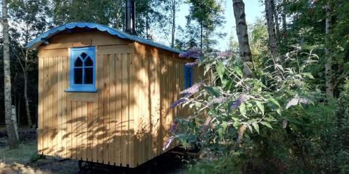 彻奇斯特雷顿Sapphire forest garden shepherd’s hut的一间木鸟屋,设有蓝色窗户