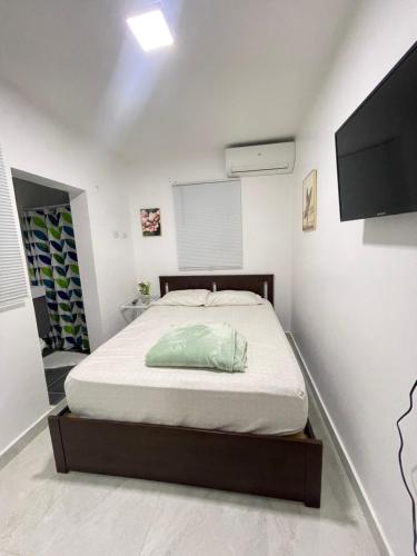 圣地亚哥洛斯卡巴Residencial christall ap 2-A的一间卧室配有一张床和一台平面电视