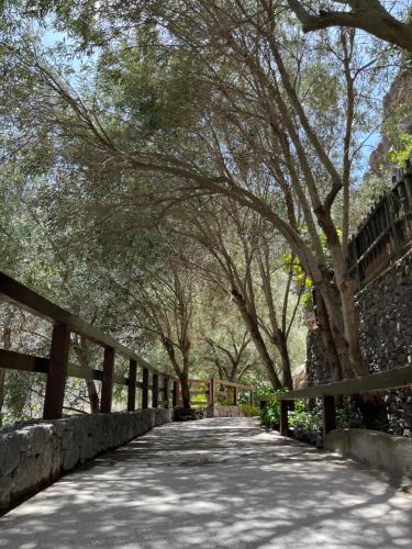 因赫尼奥Casa Rural Guayadeque Ca'Juani的公园里一条树 ⁇ 的小径,有栅栏
