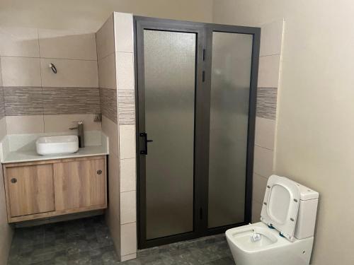 路易港City Apartments的一间带卫生间和水槽的浴室